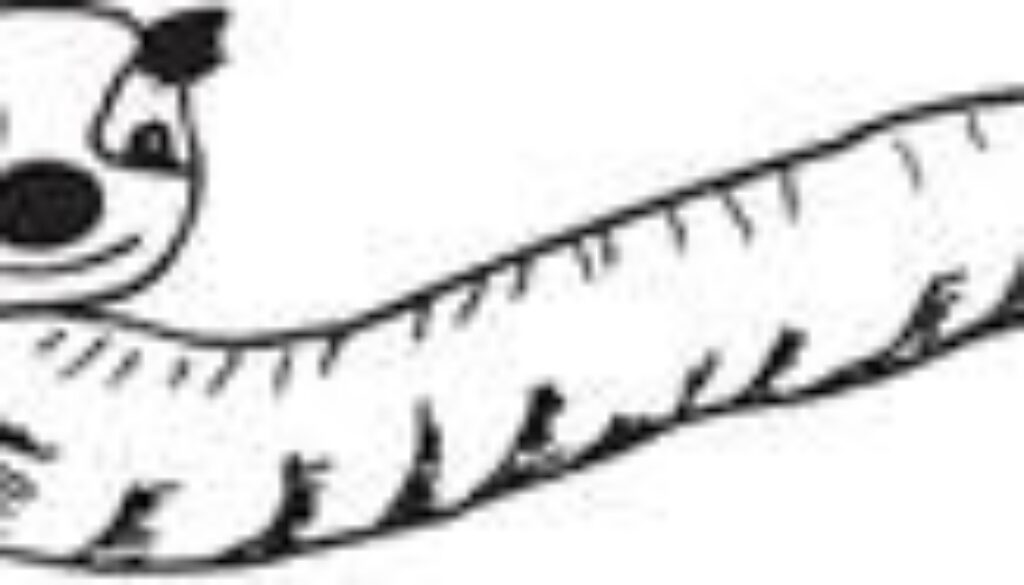 cv wurmensoppers