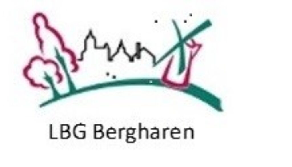 logo lbg bergharen